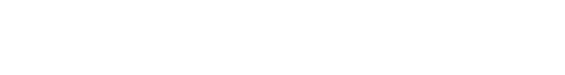 Light Logo